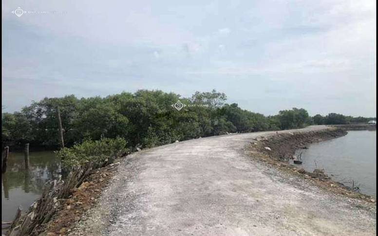 image slide